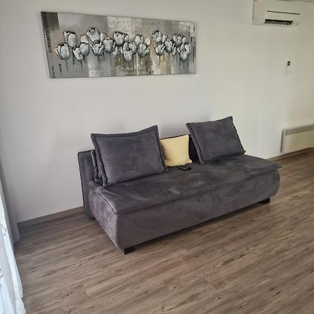 Family Apartment Moravske-Toplice Eksteriør bilde