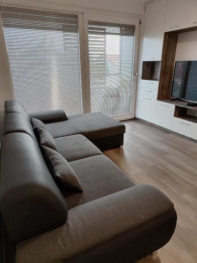 Family Apartment Moravske-Toplice Eksteriør bilde