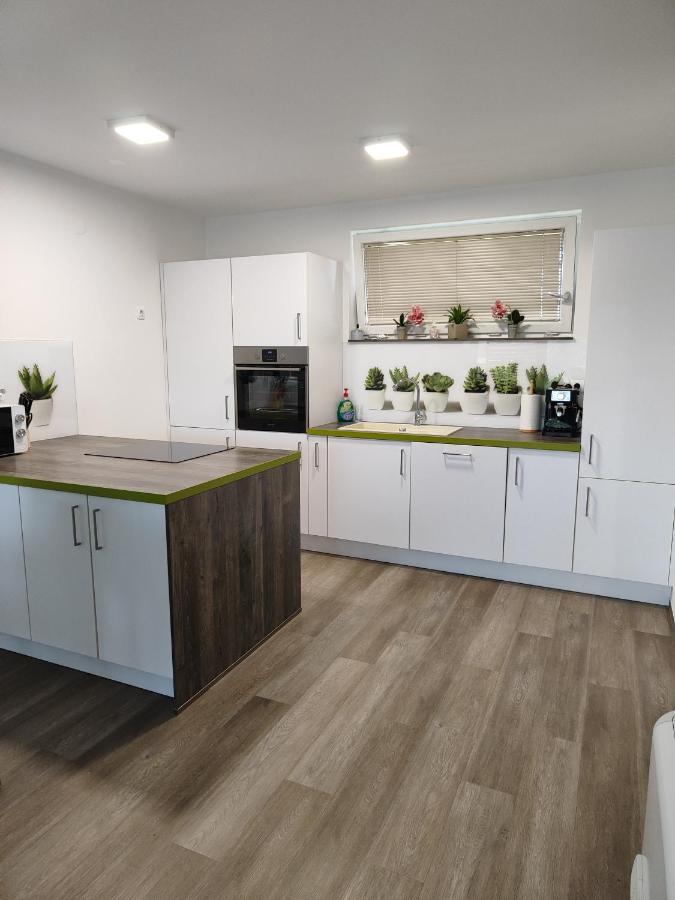 Family Apartment Moravske-Toplice Eksteriør bilde