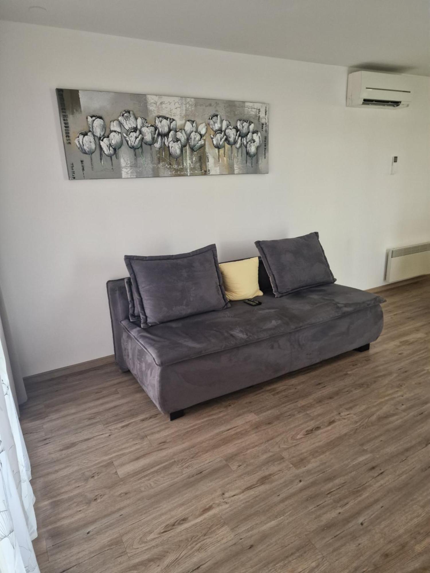 Family Apartment Moravske-Toplice Eksteriør bilde