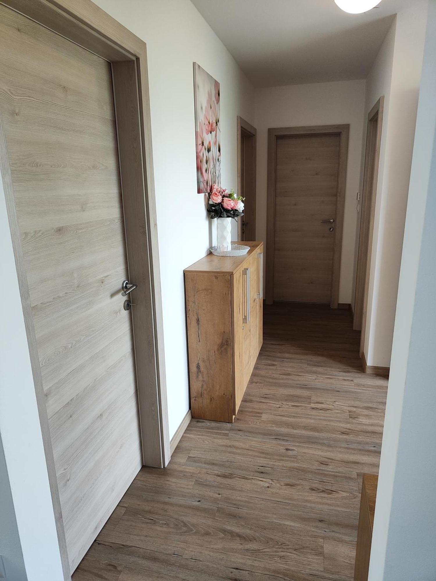 Family Apartment Moravske-Toplice Eksteriør bilde