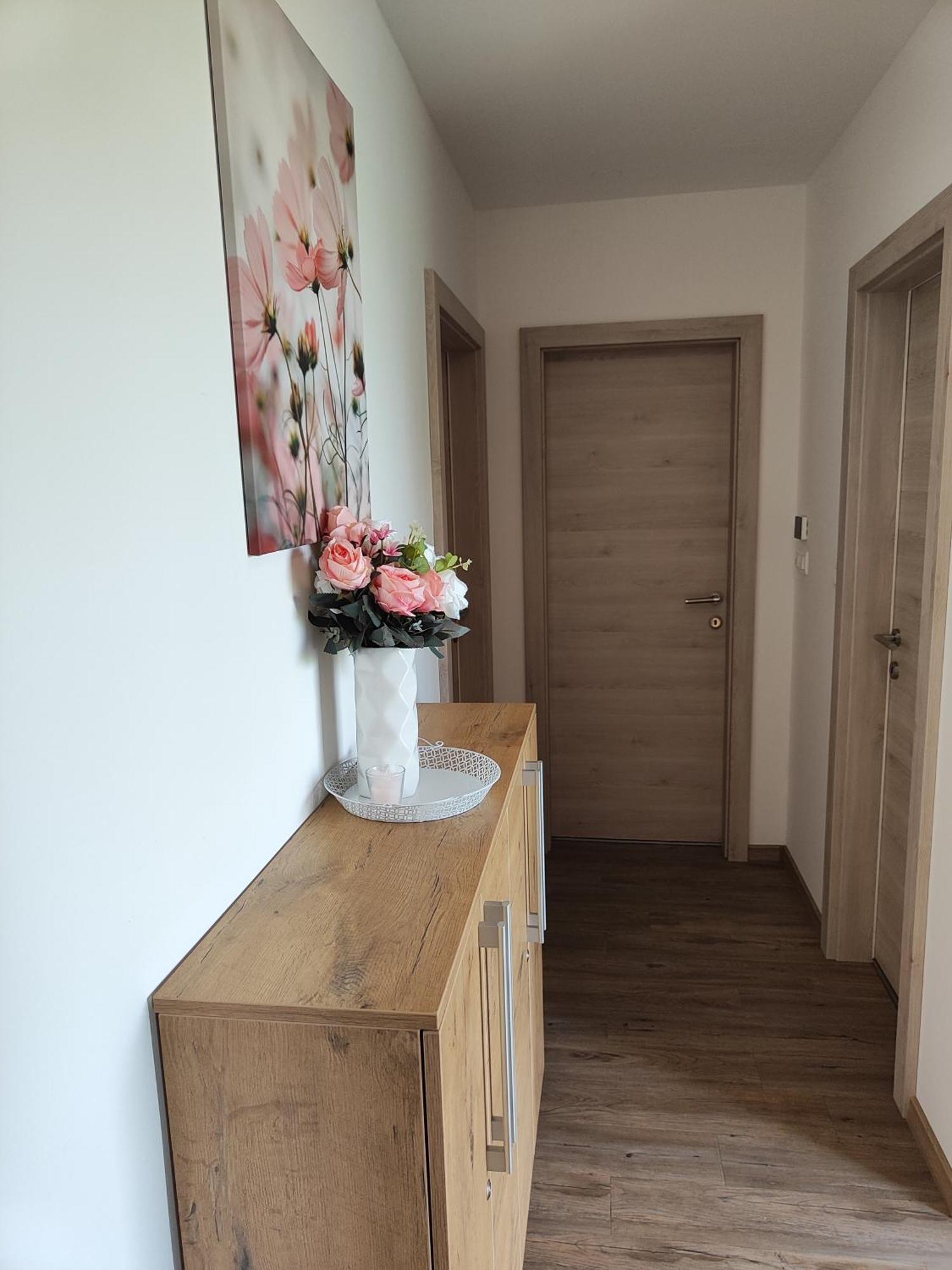 Family Apartment Moravske-Toplice Eksteriør bilde