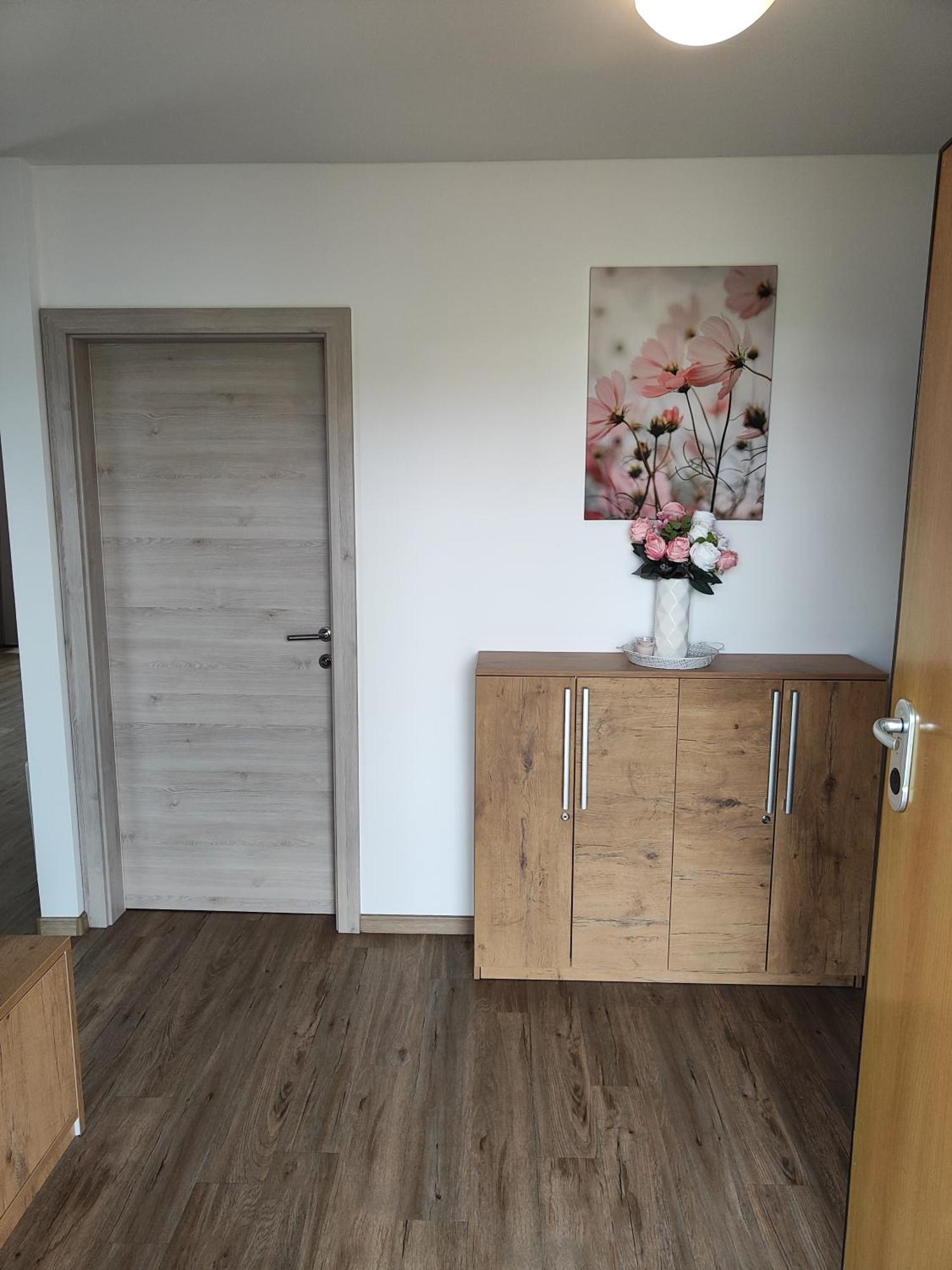 Family Apartment Moravske-Toplice Eksteriør bilde